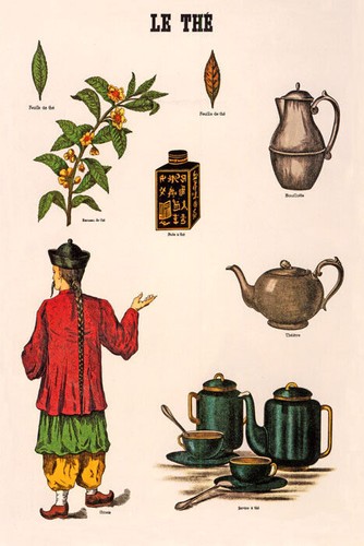 The chinese tea teapots - the,